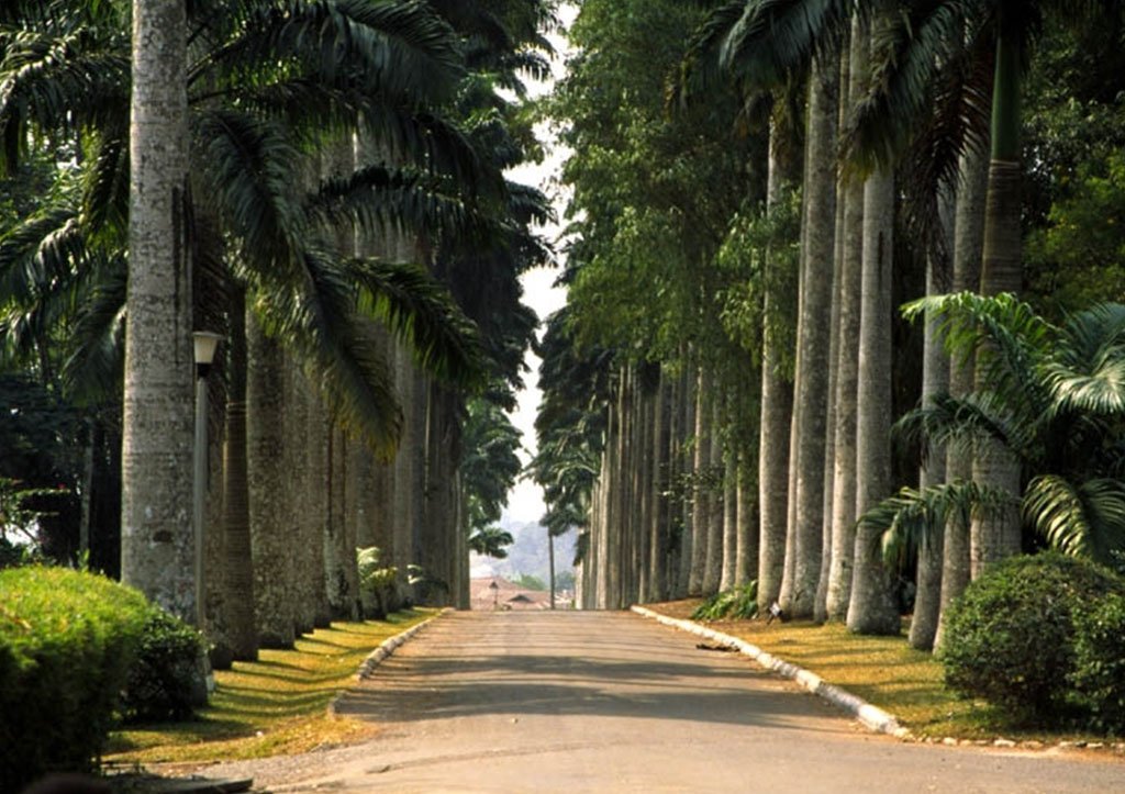 Aburi Botanical Garden, Zipline & Asenema Waterfalls Adventure Tour