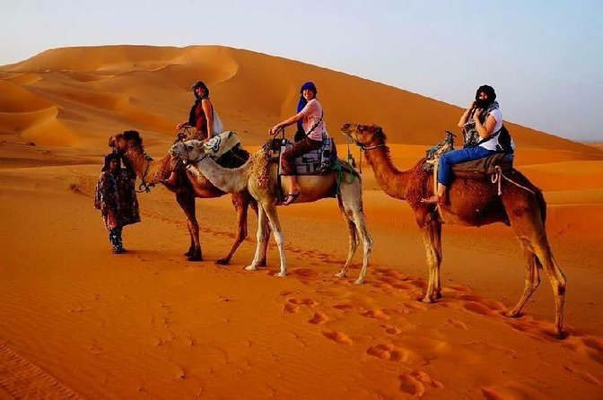 Dubai & Abu Dhabi Holiday photo 5
