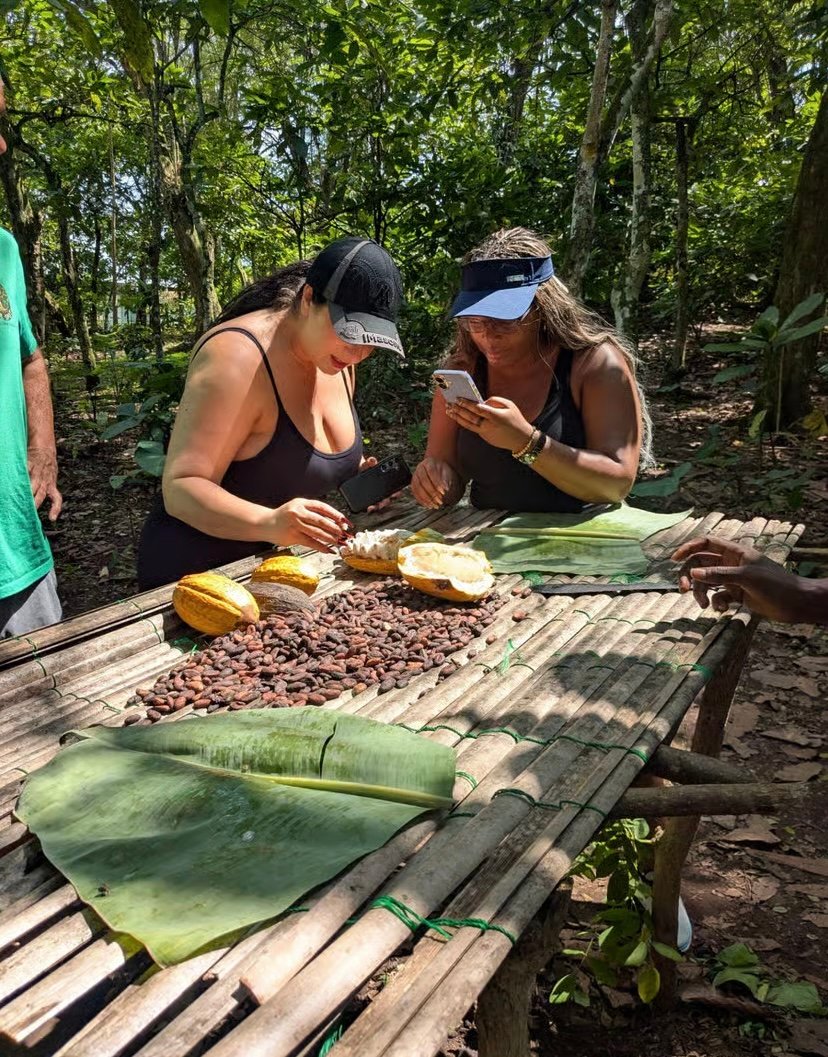 🌿 Safari Valley, Waterfalls & Cocoa Farm Adventure