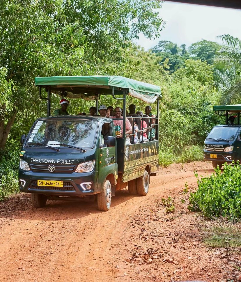 Crown Forest Resort Adventure photo 16