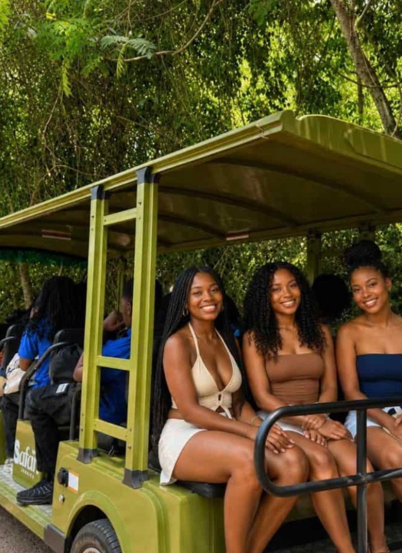 🌿 Safari Valley, Waterfalls & Cocoa Farm Adventure