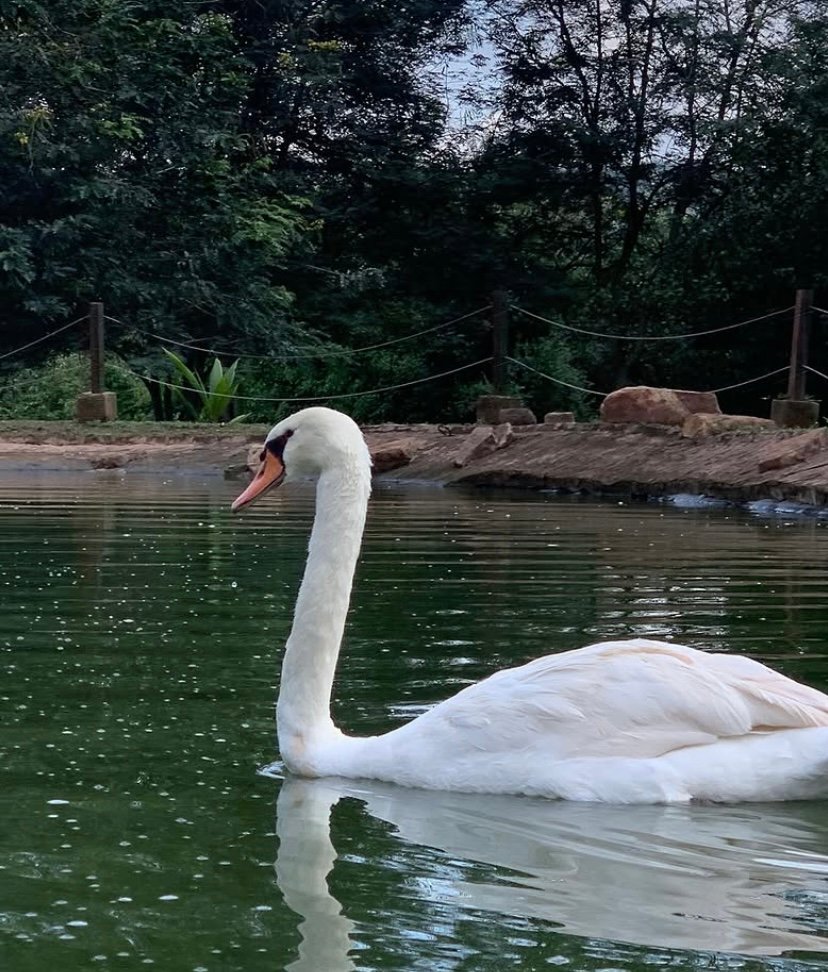 Aburi Botanical Garden, Waterfall & Safari Valley Experience photo 10