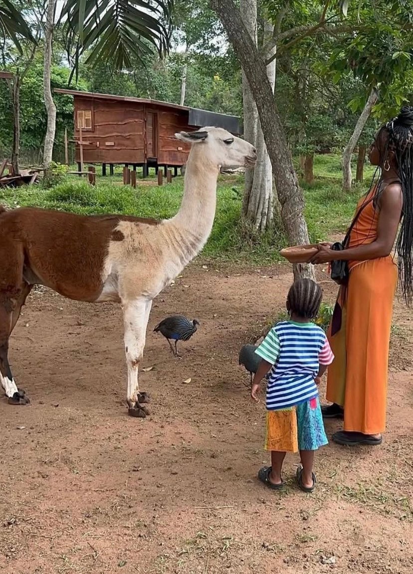 🌿 Safari Valley Resort A Full Day Experience photo 11