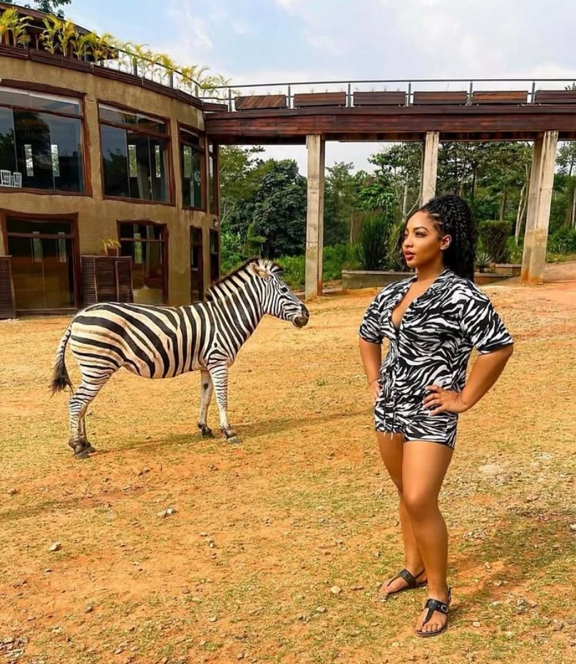 🌿 Safari Valley Resort A Full Day Experience photo 12