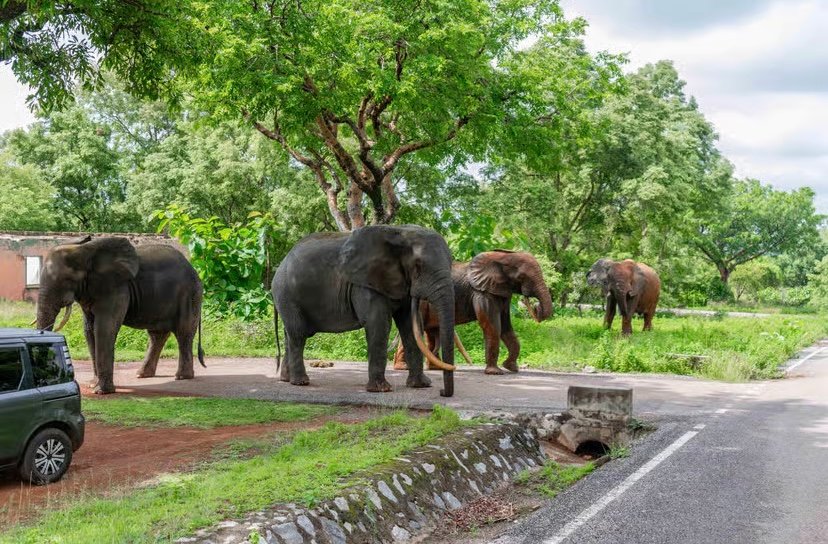 5-Days Ghana Authentic Africa Experience Tour photo 18