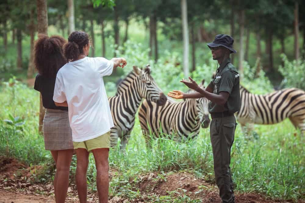 🌿 Safari Valley Resort A Full Day Experience