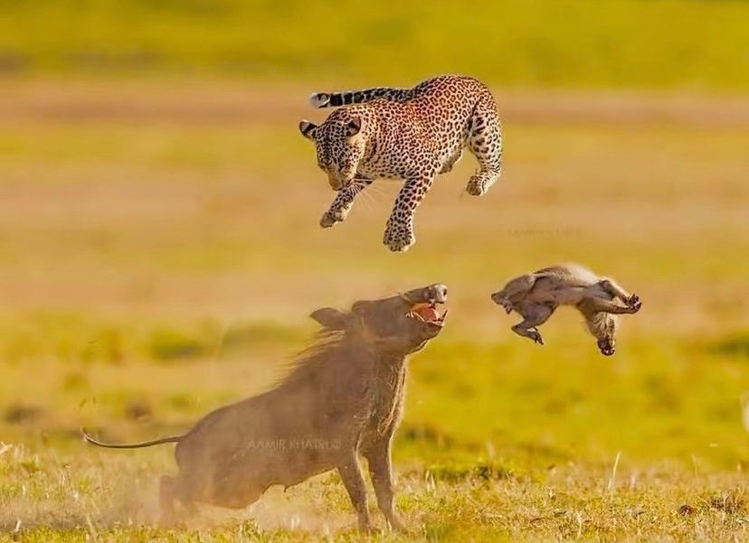 10-Days Kenya & Tanzania Group Sa
