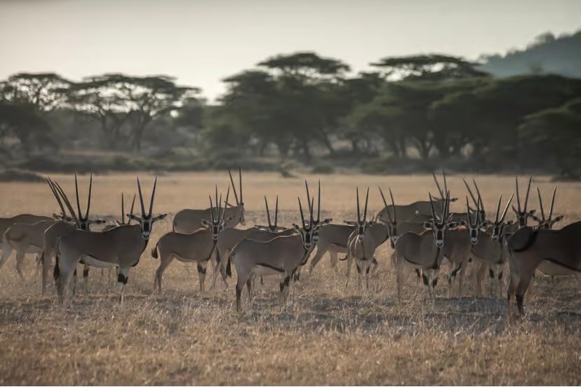 10-Days Kenya & Tanzania Group Sa photo 10